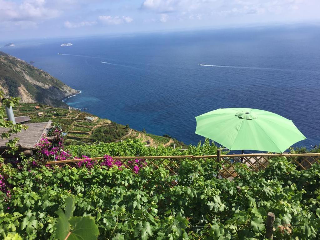 Refuge Uwabio Organic Vineyard Cinqueterre Villa Riomaggiore Exterior photo