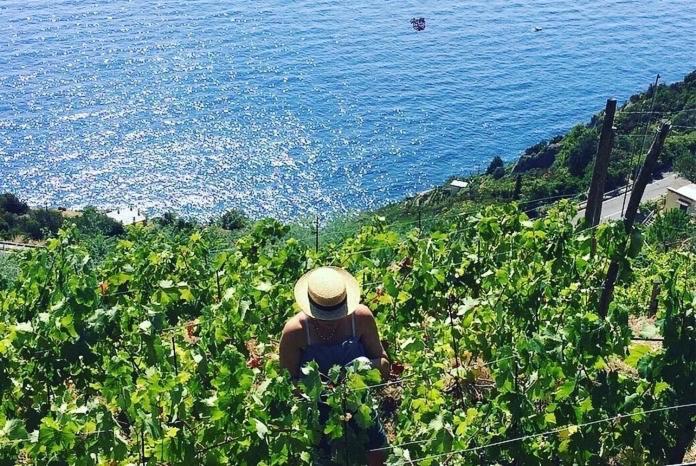 Refuge Uwabio Organic Vineyard Cinqueterre Villa Riomaggiore Exterior photo